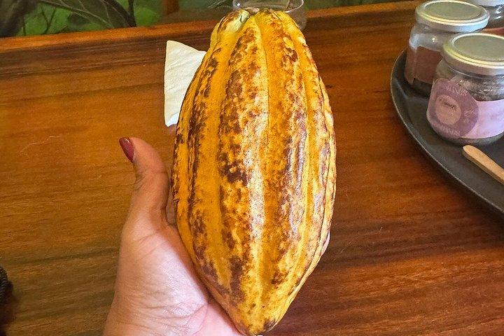 Tour a piedi consigliato nel centro storico di Quito per piccoli gruppi Degustazione di Cacao