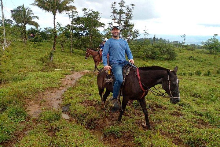 Sloth encounter, Waterfall & Horseback Riding at the Rain Forest