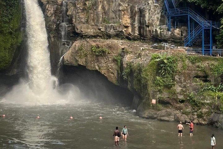 Punti salienti di Ubud : Foresta delle scimmie sacre, Terrazze di riso, Cascata