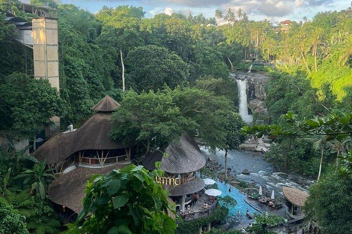 Punti salienti di Ubud : Foresta delle scimmie sacre, Terrazze di riso, Cascata