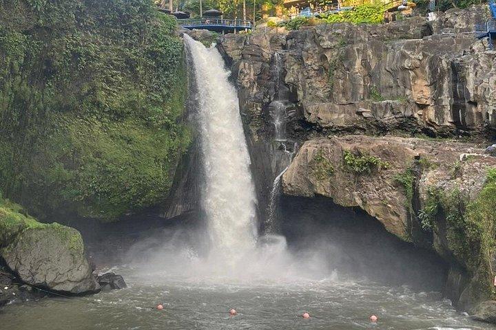 Punti salienti di Ubud : Foresta delle scimmie sacre, Terrazze di riso, Cascata