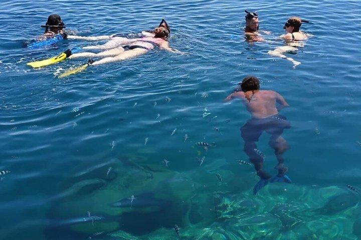 Full Day Island Snorkeling