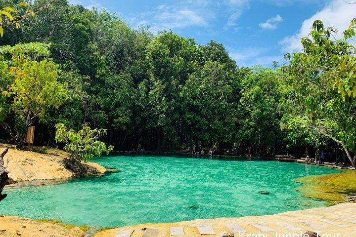 Hele dagen Krabi Jungle Tour (varmt kildevand, Emerald Pool, Tiger Cave Temple)