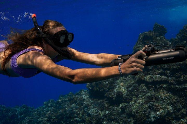 Lanai Snorkel Safari Experience from Maui