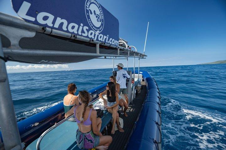 Lanai Snorkel Safari Experience from Maui