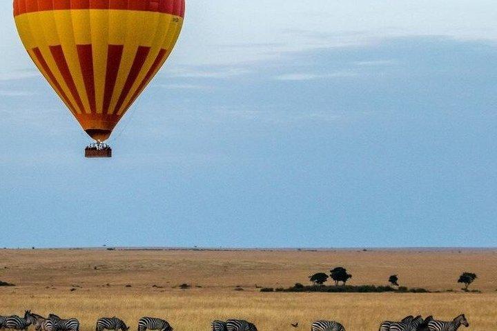 マサイ・マラ、3日間のビッグ5遭遇をスリリングに