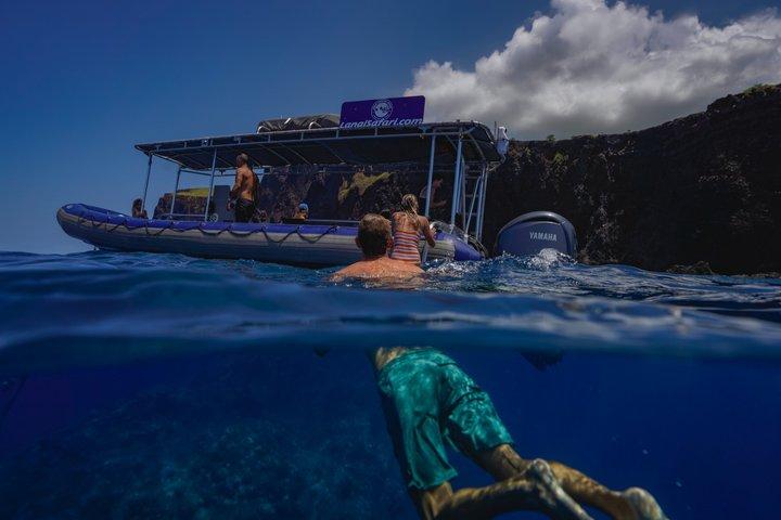 Lanai Snorkel Safari Experience from Maui