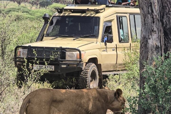 Nairobi National Park Safari (Half-Day) – Lions & Hotel Pickup