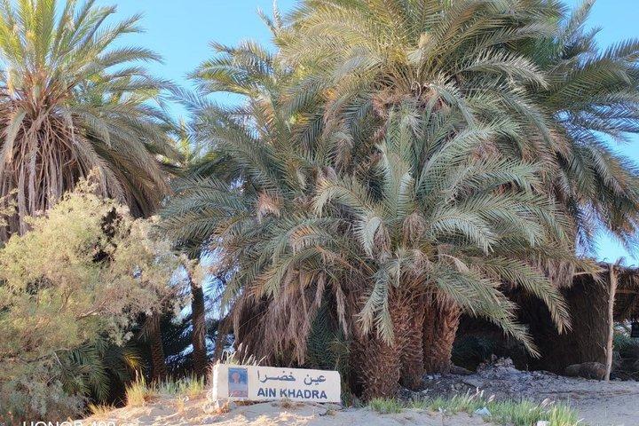 2 - Dia White Desert Safari Camping de Cairo Bahariya