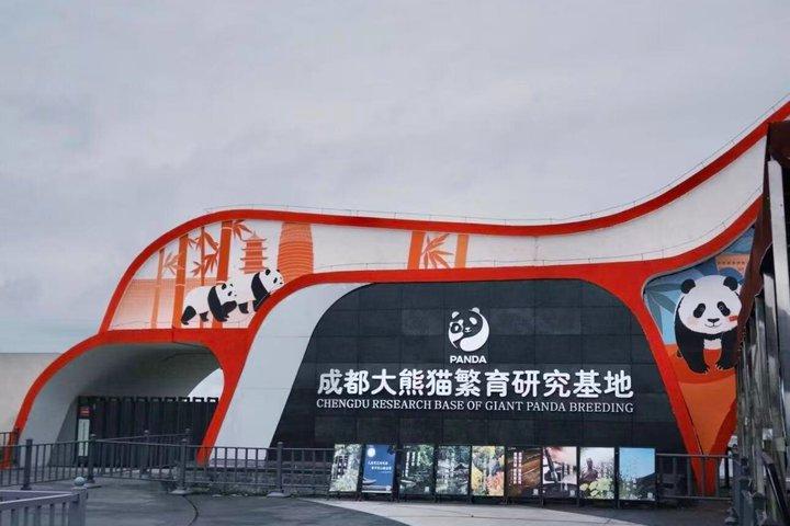 Chengdu Giant Panda Base Ticket