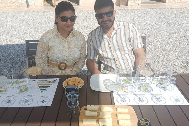 Excursão Premium Prosecco Hills Winery com degustações de Prosecco e comida