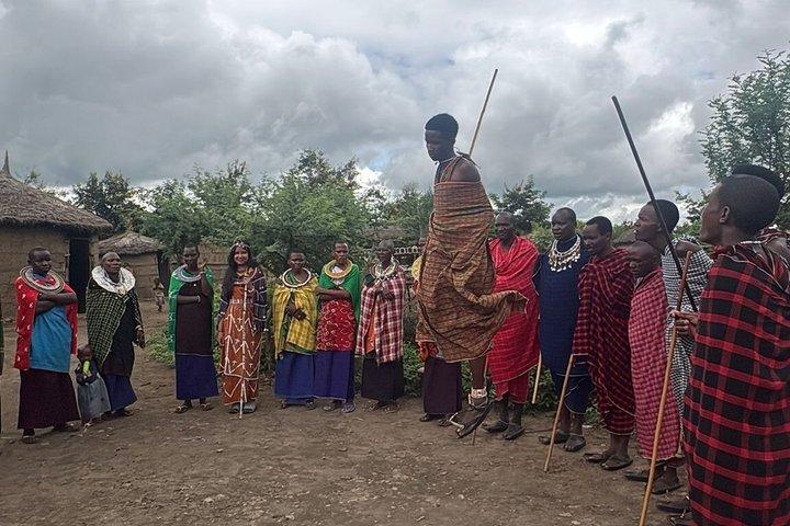 Maasai Village & Hot Springs or Materuni Waterfalls+ Coffee Tour
