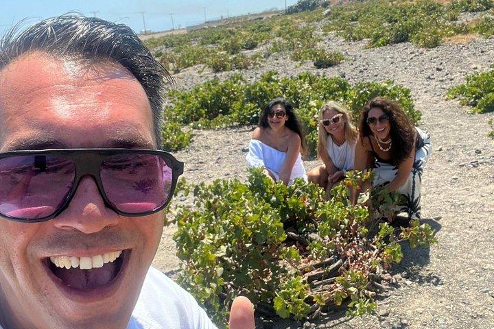 Santorini Sunset Wine Abundance: 4 Wineries & Local Meze