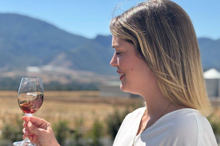 Thessaloniki Weintour Weingut Besuch und Weinprobe