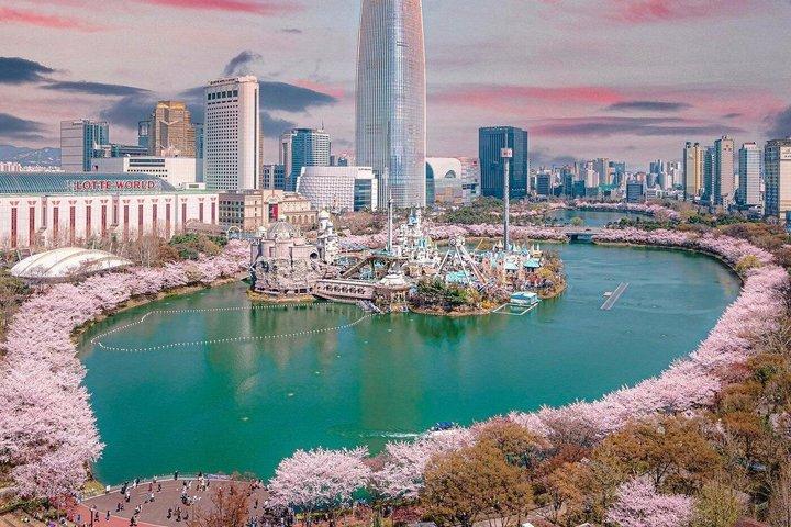 Seoul Lotte World Adventure Eintritt mit Optionen