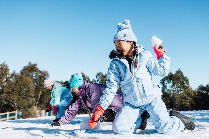 Excursión a la montaña del lago con nieve y Billy desde Melbourne