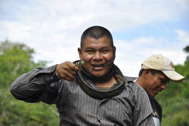 アマゾンでの4日間のサバイバルツアーと探検、イキトス（ペルー）