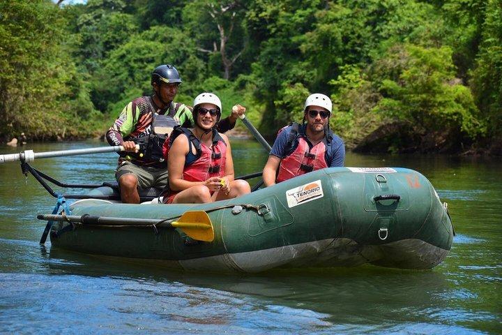 プライベートナマケモノ遭遇滝＆リバーサファリツアー