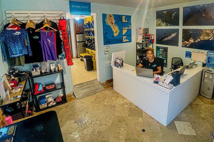 Private Beginner Scuba Diving Experience in Cabo San Lucas