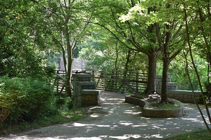 アトランタの緑地と公園でE-バイクツアー