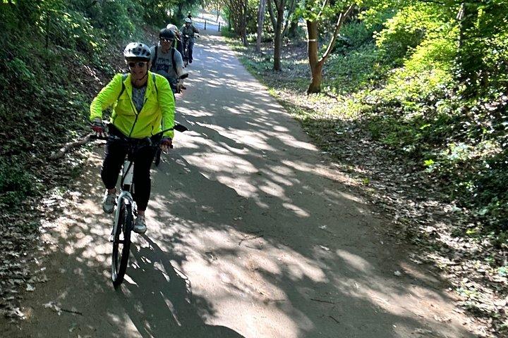 アトランタの緑地と公園でE-バイクツアー