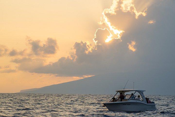 Maui: Private Luxury Charter Experience