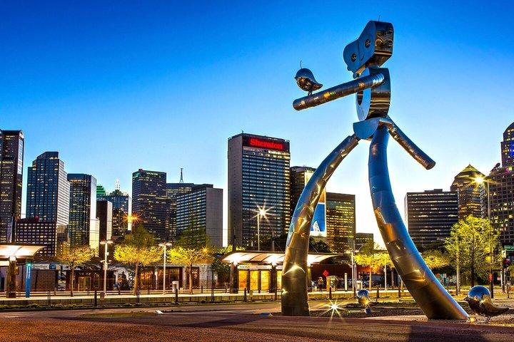 Transfer privado de ida e volta do Aeroporto de Dallas (DFW)