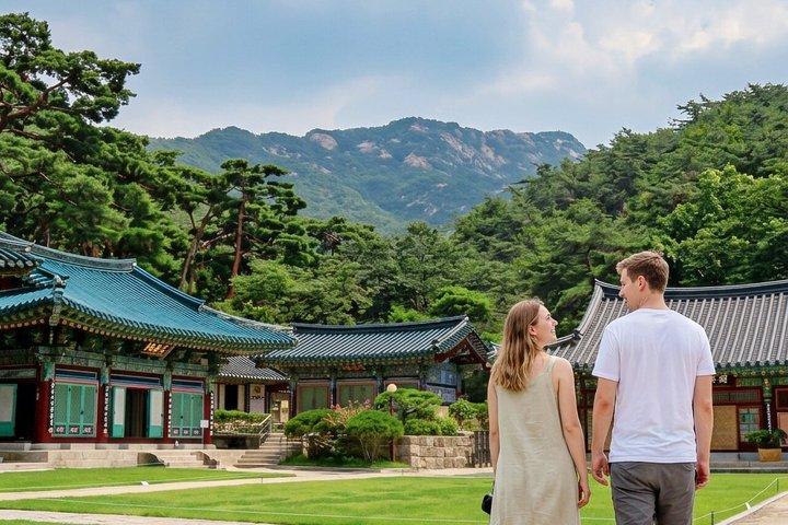 Seoul City Highlights Tour : Mounatin, Hanok Village, Wilde Trauben