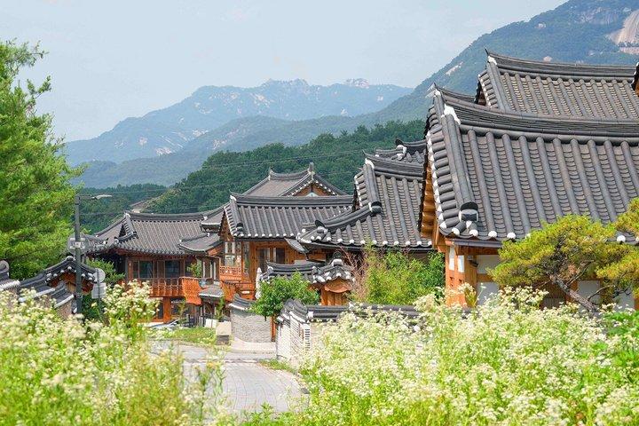Seoul City Highlights Tour : Mounatin, Hanok Village, Wilde Trauben