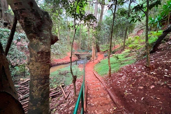Oloolua Nature Trail Karen Blixen e Giraffe Centre
