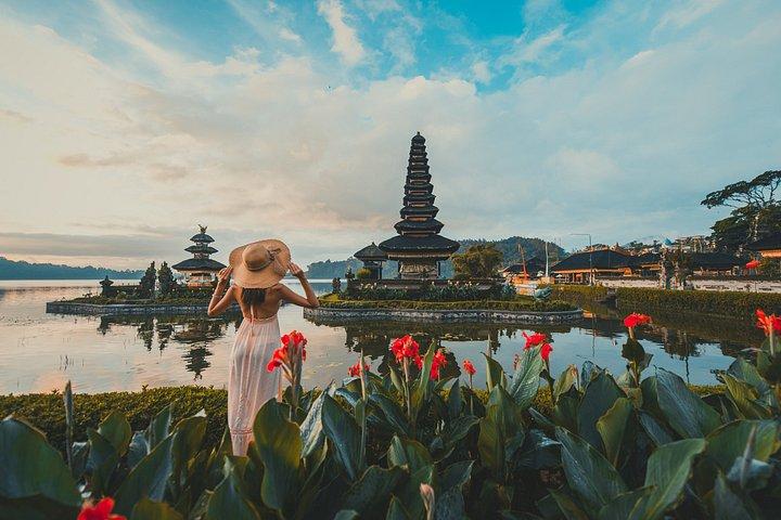Bali Water Temple, Cascate e Terrazza del Riso Tour privato