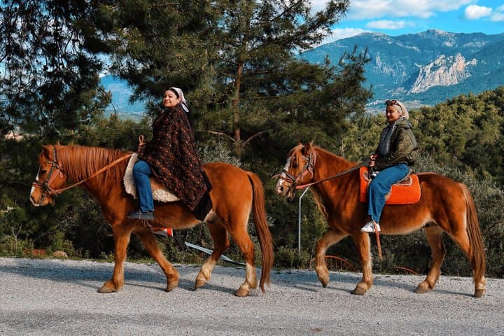 Horse Ride with Mountain Views