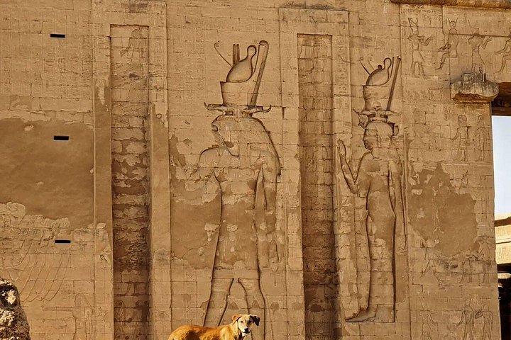 少人数グループ（8名）でのルクソールへの小旅行。