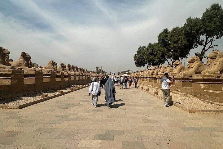 少人数グループ（8名）でのルクソールへの小旅行。