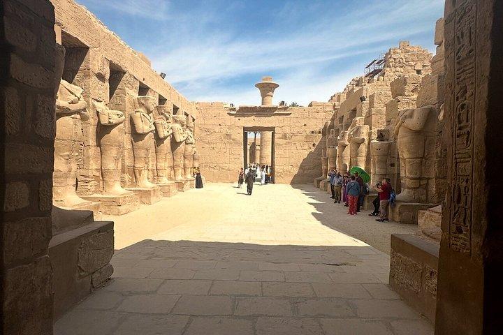 少人数グループ（8名）でのルクソールへの小旅行。