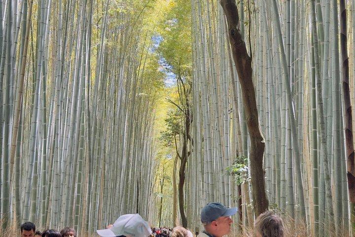 京都ツアー：プライベート全日アイコンハイライト英語ガイドバン