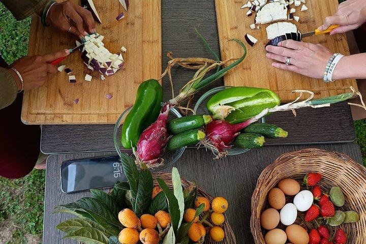 カポ・ヴァティカーノの農村料理教室