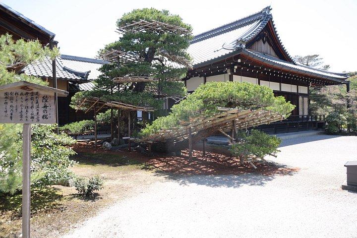 京都e-bikeで巡る宮殿、城、寺院、秘宝