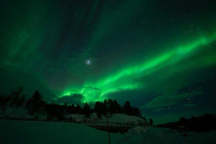 Tromsö : Norrskensjakt med snacks och foton