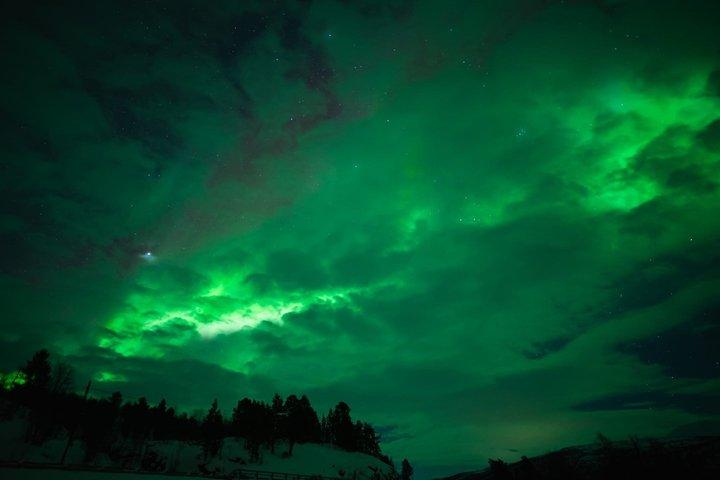 Tromsø : 軽食と写真でオーロラ追跡