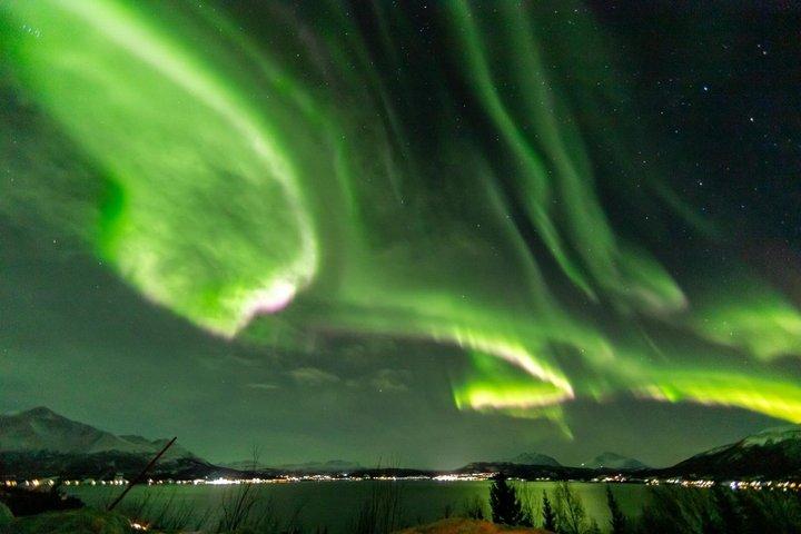 Tromsø : 軽食と写真でオーロラ追跡