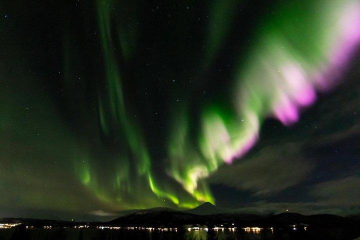Tromsø : 軽食と写真でオーロラ追跡
