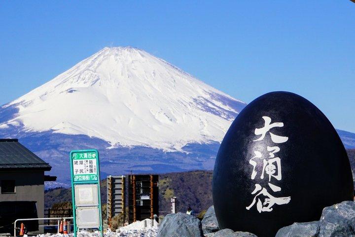 Tokyo: Hakone Shrine, Owakudani & Gotemba Premium Outlet Day Tour