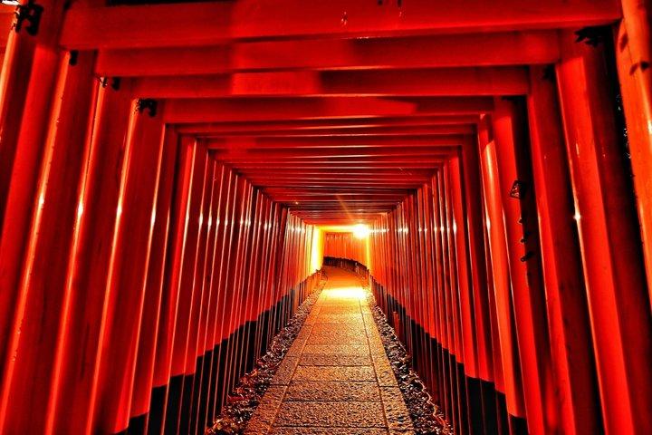 大阪： 京都観光昼夜バスツアー（夕食付き）