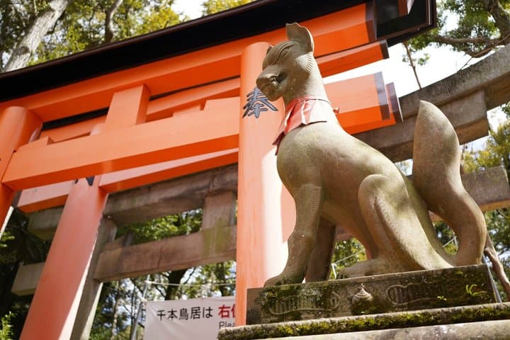 Osaka: Kyoto Scenic Day & Night Bus Tour with dinner (Kobe Beef)