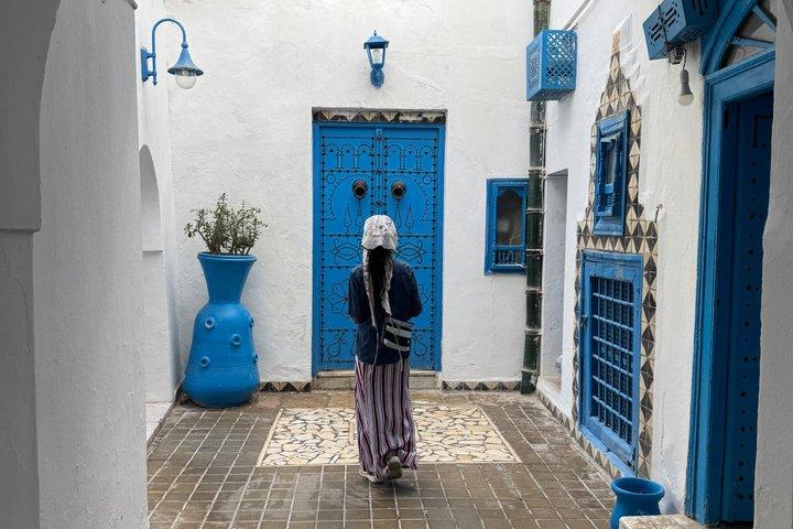 Carthage and Sidi Bou Said Tour
