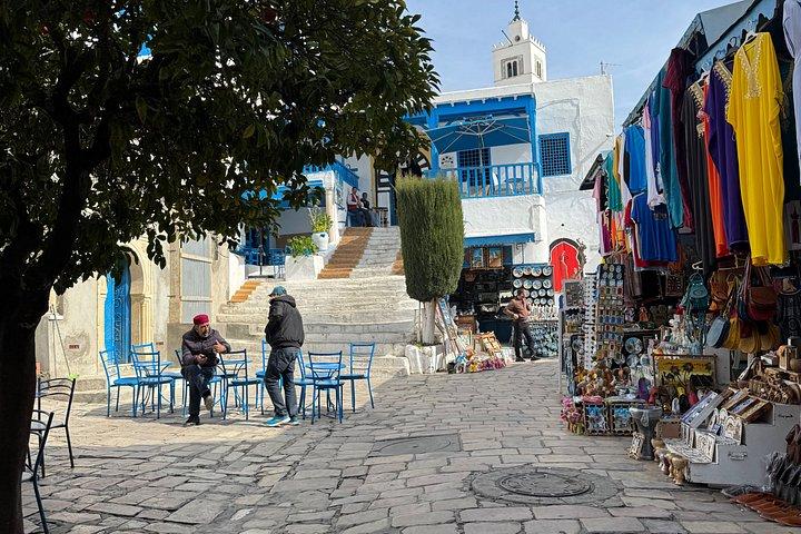 Carthage and Sidi Bou Said Tour