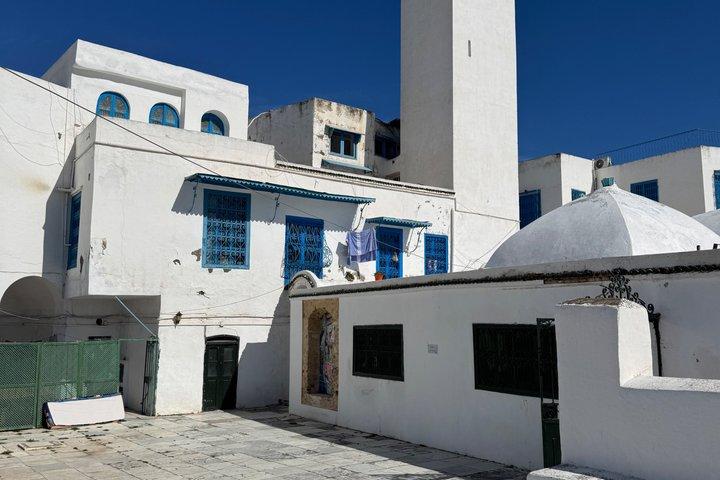 Carthage and Sidi Bou Said Tour