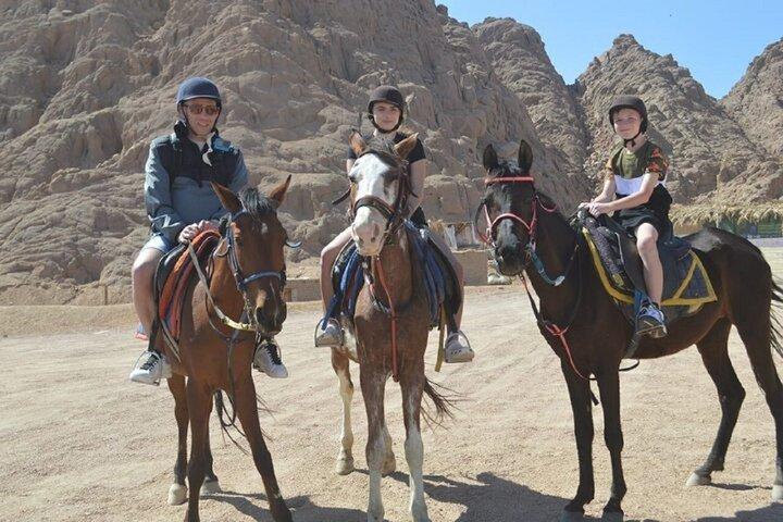2H Sunrise Horse Ride Strand og ørken med Transfer: Hurghada