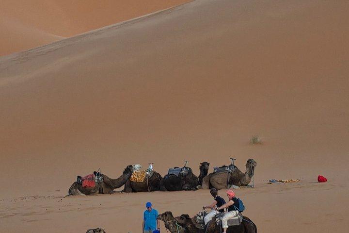 Tour di 3 giorni da Marrakech